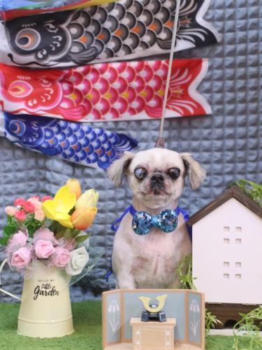 20230516マロニーちゃん